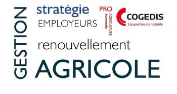 Stratégie de gestion agricole