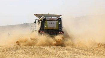 [Moisson 2018] Le blé dur prend un bouillon