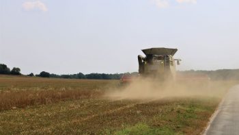 Un broyeur de menues pailles pour détruire les graines d’adventices à la moisson