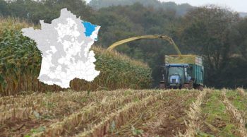 Premiers ensilages à prévoir avant le 15 août