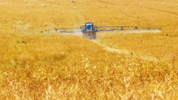 Le monde agricole présente ses premières solutions pour réduire les produits phytosanitaires
