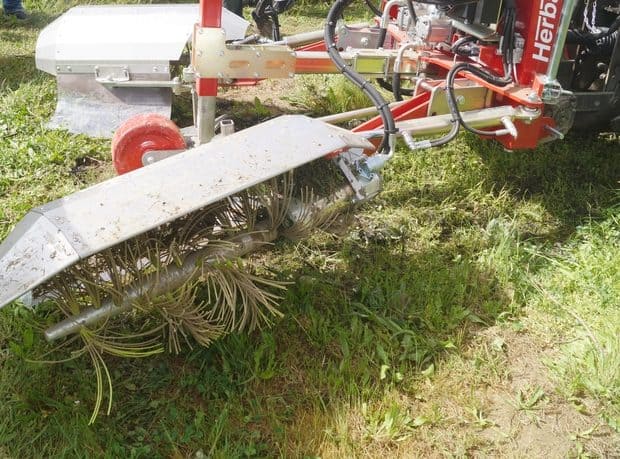 Travail du sol vigne