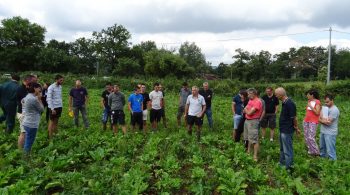 Filière betterave fourragère en Aveyron: un pas de plus