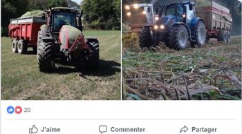 L’ensilage bat son plein