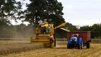 Ils ont cultivé 1 hectare de blé sans entrer dans la parcelle