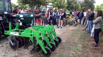 Les vitis mettent le couvert