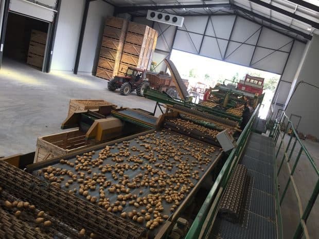 un bâtiment pour les plants de pommes de terre en cuma