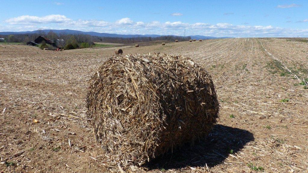 paille inflammable paille inflammable