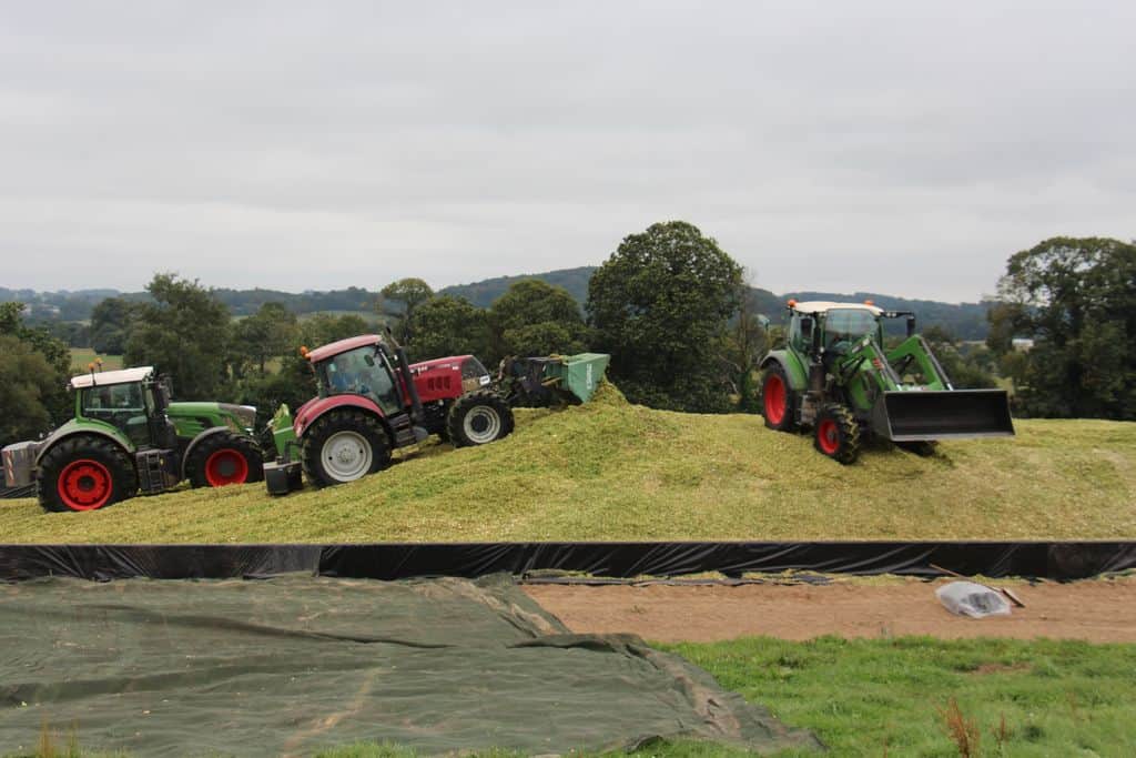 ensilage de maïs précoce, 3 opérateurs au silo