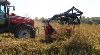 La moisson en deux temps