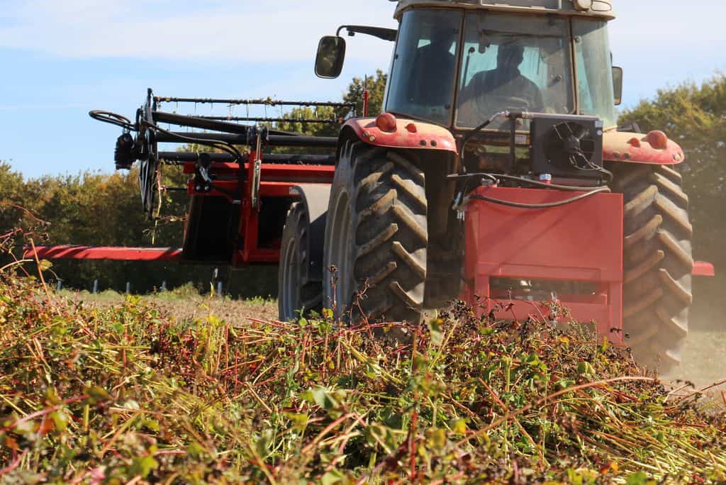 Faucheuse andaineuse Equip'Agri : vue arrière de l'ensemble de récolte