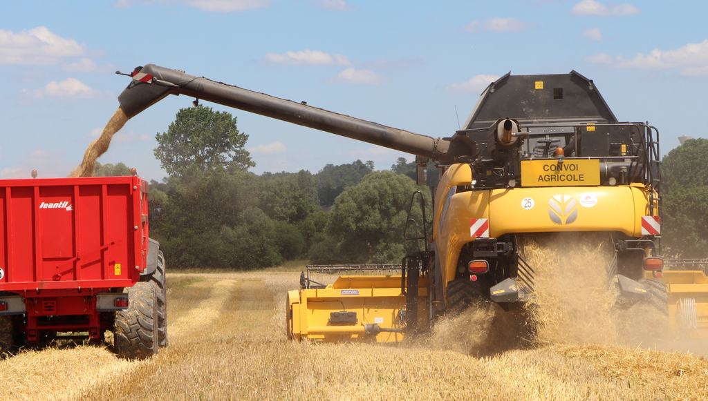 Bilan 2018 De La Moisson En Bl Tendre Et Bl Dur Par Arvalis Entraid bilan-2018-de-la-moisson-en-bl-tendre-et-bl-dur-par-arvalis-entraid