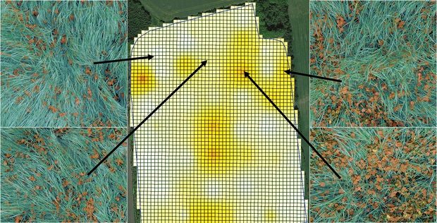 Nouveautés Agromek : Agro Intelligence trèfle