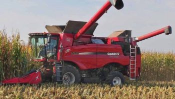 Récolter les rafles de maïs pour produire de l’énergie