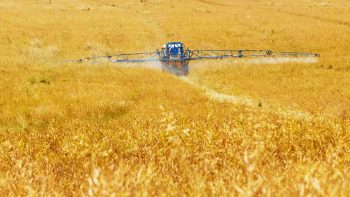 « Appel des coquelicots » : 375 rassemblements prévus vendredi contre les pesticides