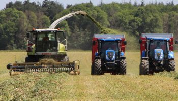 [Avis Claas Jaguar 840] L’ensileuse apprécie l’herbe bien andainée