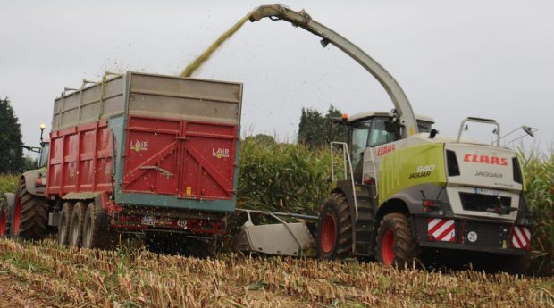 ensileuses avis Claas Jaguar 940 : en plein travail dans du maïs en Normandie