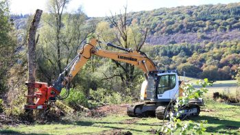 Comment valoriser le bois et les haies bocagères ?