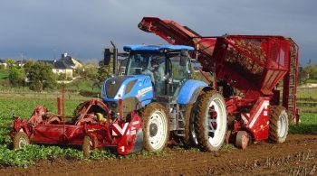 En Aveyron, enfin une solution pour la récolte de betteraves fourragères