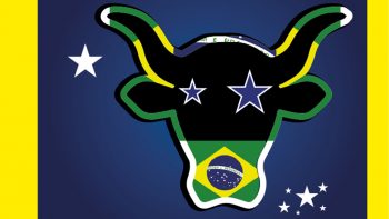 Viande bovine, l’agrobusiness brésilien