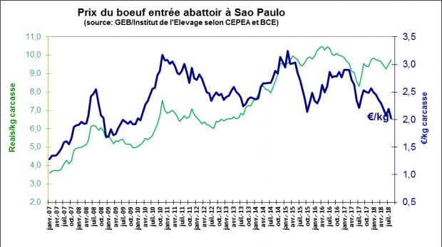 Viande bovine au Brésil : prix du boeuf entrée abattoir