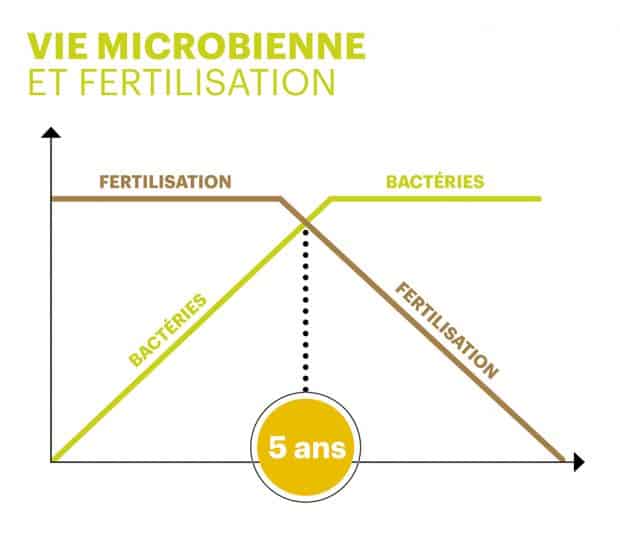 couverture végétale maïs et vie microbienne