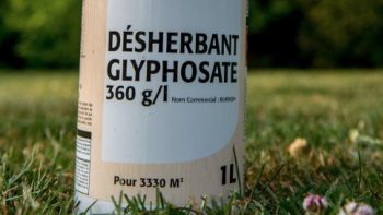 Le surcoût de la sortie du Glyphosate