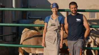 Weekends et soirées libres: c’est possible, même sur une ferme laitière