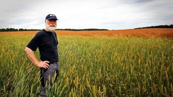 L’agriculteur à la retraite doit vendre ou louer ses terres