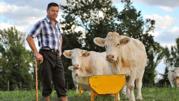 Après les Etats généraux de l’alimentation, le monde agricole appelé aux urnes