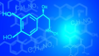 La recherche veut cerner « l’effet cocktail » des produits chimiques sur la santé