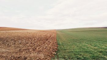 [Foncier agricole] L’« épargne verte »
