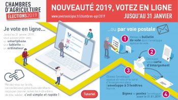 Elections Chambres d’agriculture: comment voter?