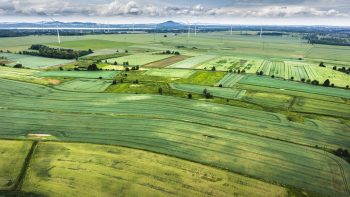 Pacte: le Sénat étend aux entreprises agricoles le dispositif garantissant un statut au conjoint