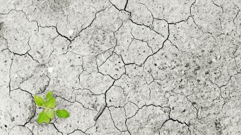 Il faut adapter l’agriculture aux changements climatiques (candidate de l’UE à la FAO)