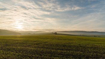 Agriculture: légère hausse des installations de nouveaux agriculteurs en 2017