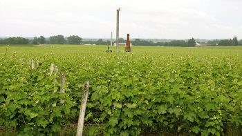 Protection de la vigne : Tours antigel et équipements d’aspersion