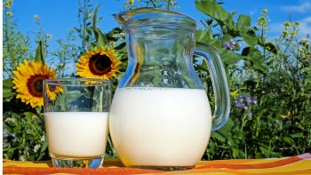 2018, année record pour la production de lait bio en France