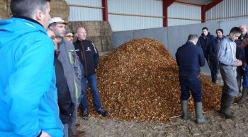 En Vendée, on s’intéresse à l’utilisation de broyat de haie en litière animale