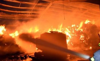 Seize mille pintades meurent dans un incendie en Bretagne
