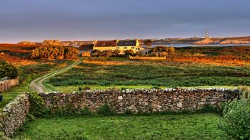 Du lait frais et bio à Ouessant: l’île cherche son éleveur