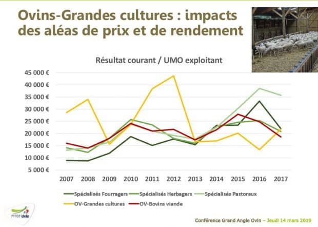 Revenus des éleveurs ovins : impacts des aléas de prix et de rendement.