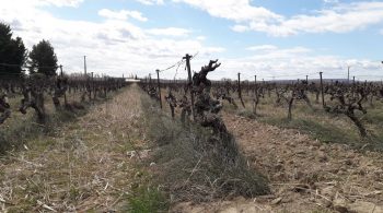 Drôme: des tondeuses interceps près de chez vous