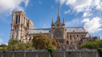 Notre-Dame: un exploitant forestier « inquiet » du stock de chêne disponible