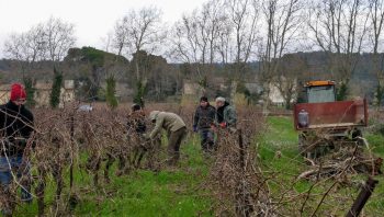 Solidarité viticole entre Aude et Touraine