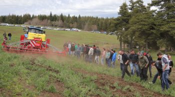 En Lozère, le sursemis, une technique à suivre