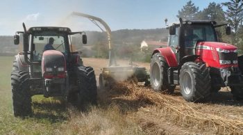 Drôme: Récolte du chanvre pour la cuma Vitipintabic