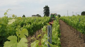 Karnott à Saint-Emilion: des échanges très constructifs pour les viticulteurs