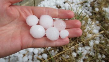 Récoltes « foutues » et état de catastrophe naturelle après les orages de grêle dans la Drôme