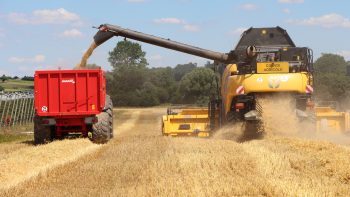 [Moissons 2023] Beaux épis et quintaux à la clé : on souffle dans le Lot-et-Garonne